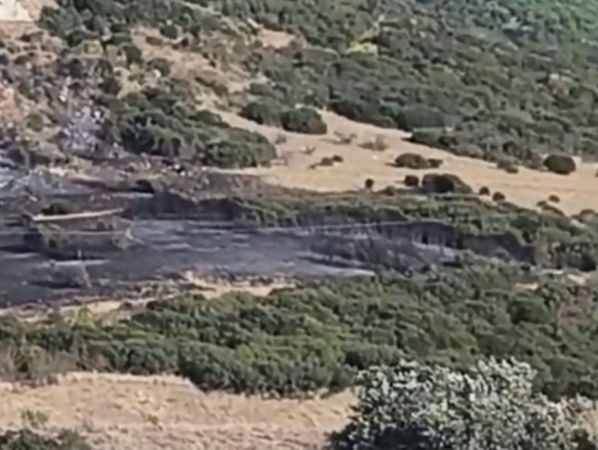 Bursa’daki orman yangını söndürüldü – Güncel Son Dakika Haberleri