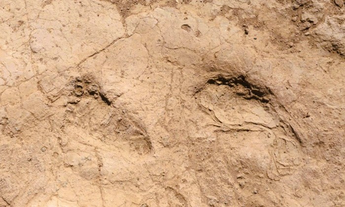 Hatay’da 7 Bin Yıllık İnsan Ayak İzleri Bulundu Hatay’da 7 Bin Yıllık İnsan Ayak İzleri Bulundu