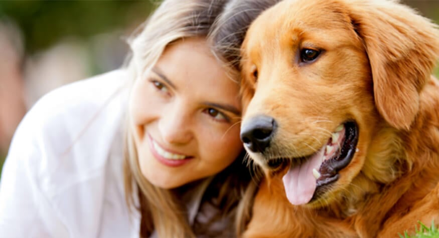 Hayvanlarda Kemoterapinin Yan Etkileri Hayvanlarda Kemoterapinin Yan Etkileri