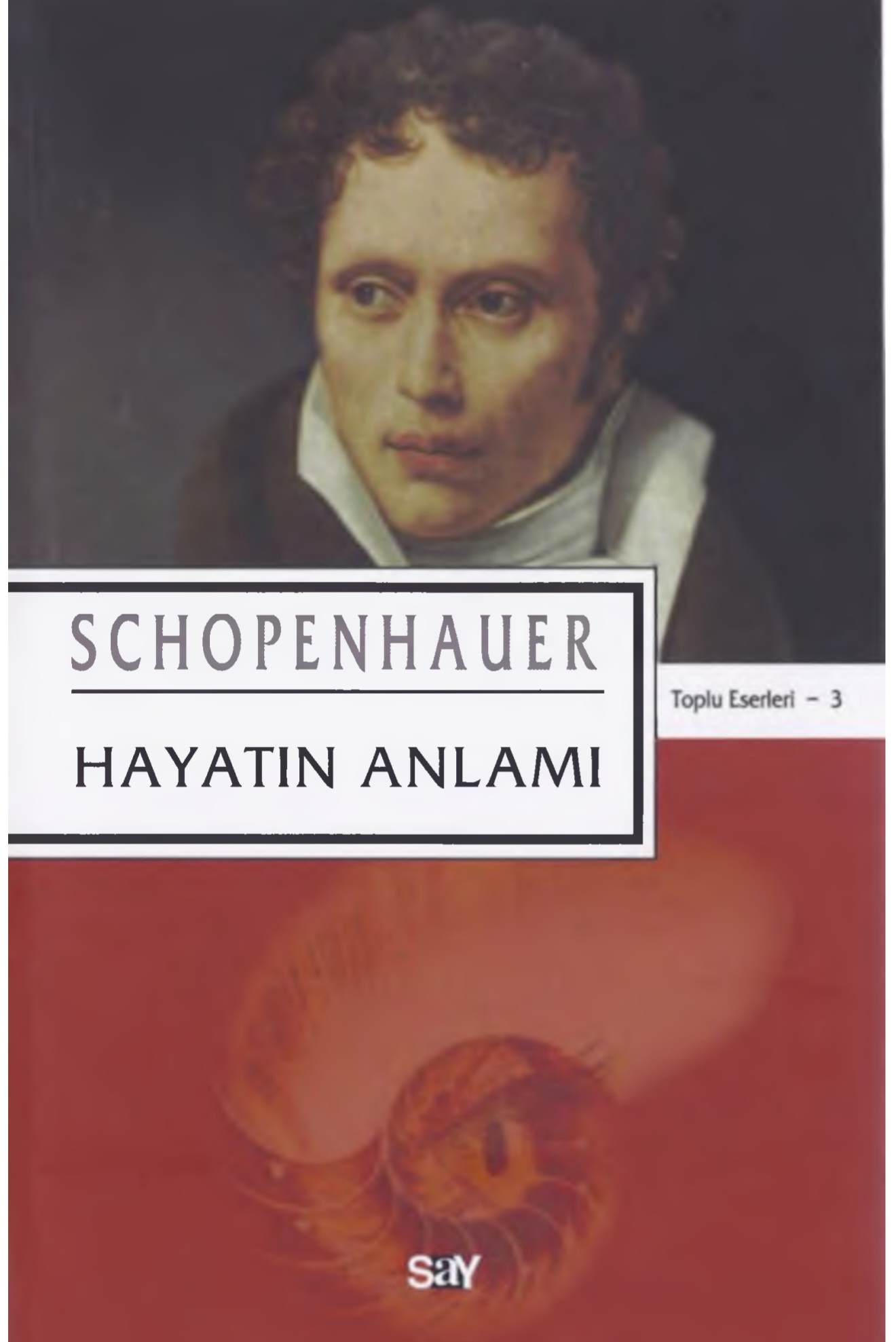 Kitap Yorumu | Hayatın Anlamı | Aylin Özgür