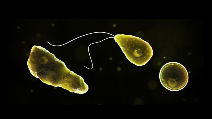 Hindistan’da ‘PAM’ nedeniyle 19 kişi hayatını kaybetti