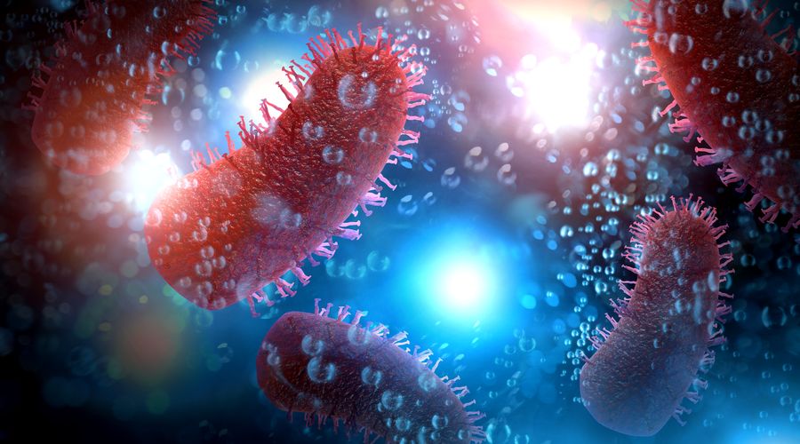 Kuduz: Önlenebilir ama hâlâ ölümcül bir tehdit