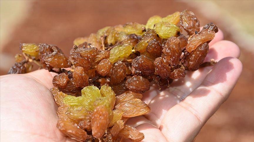 Kuru üzüm alım fiyatı 2025 ne kadar?