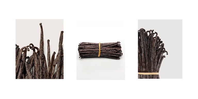 Sonbaharın Tutkulu Aşkı: Vanilya Notası Sonbaharın Tutkulu Aşkı: Vanilya Notası