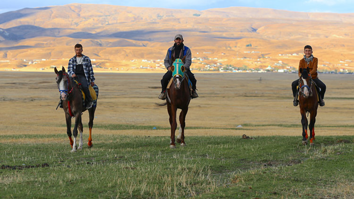 Bingöl’de at yetiştiriciliği kültürel miras olarak yaşatılıyor