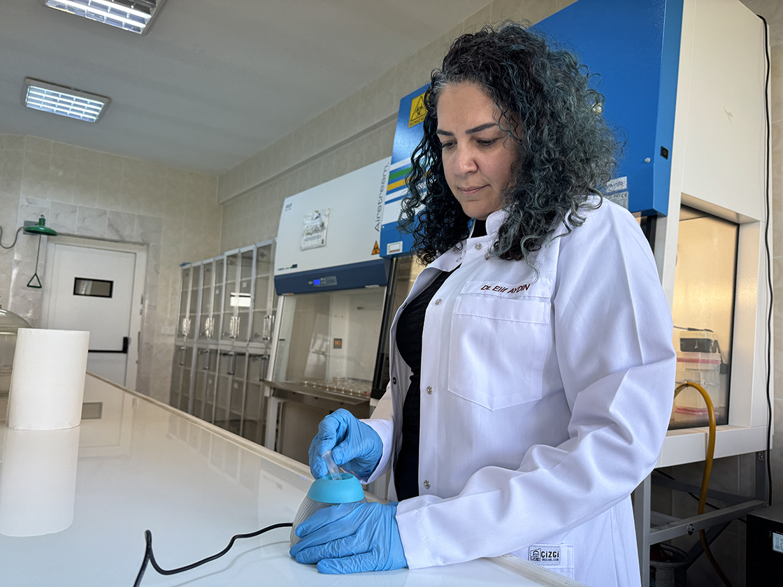 Bor kullanılarak geliştirilecek yara örtüsü diyabetik yaraların daha hızlı iyileşmesini sağlayacak Bor kullanılarak geliştirilecek yara örtüsü diyabetik yaraların daha hızlı iyileşmesini sağlayacak