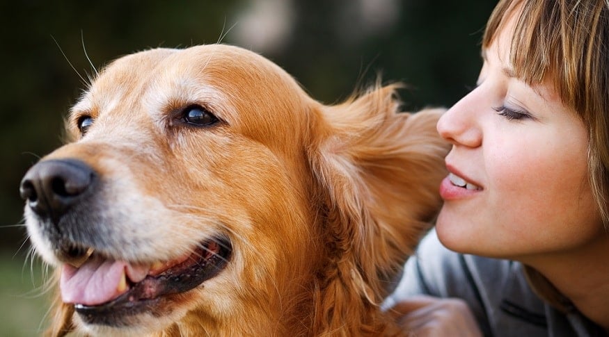 Evcil Hayvanlar İle İlgili Temel Bilgiler