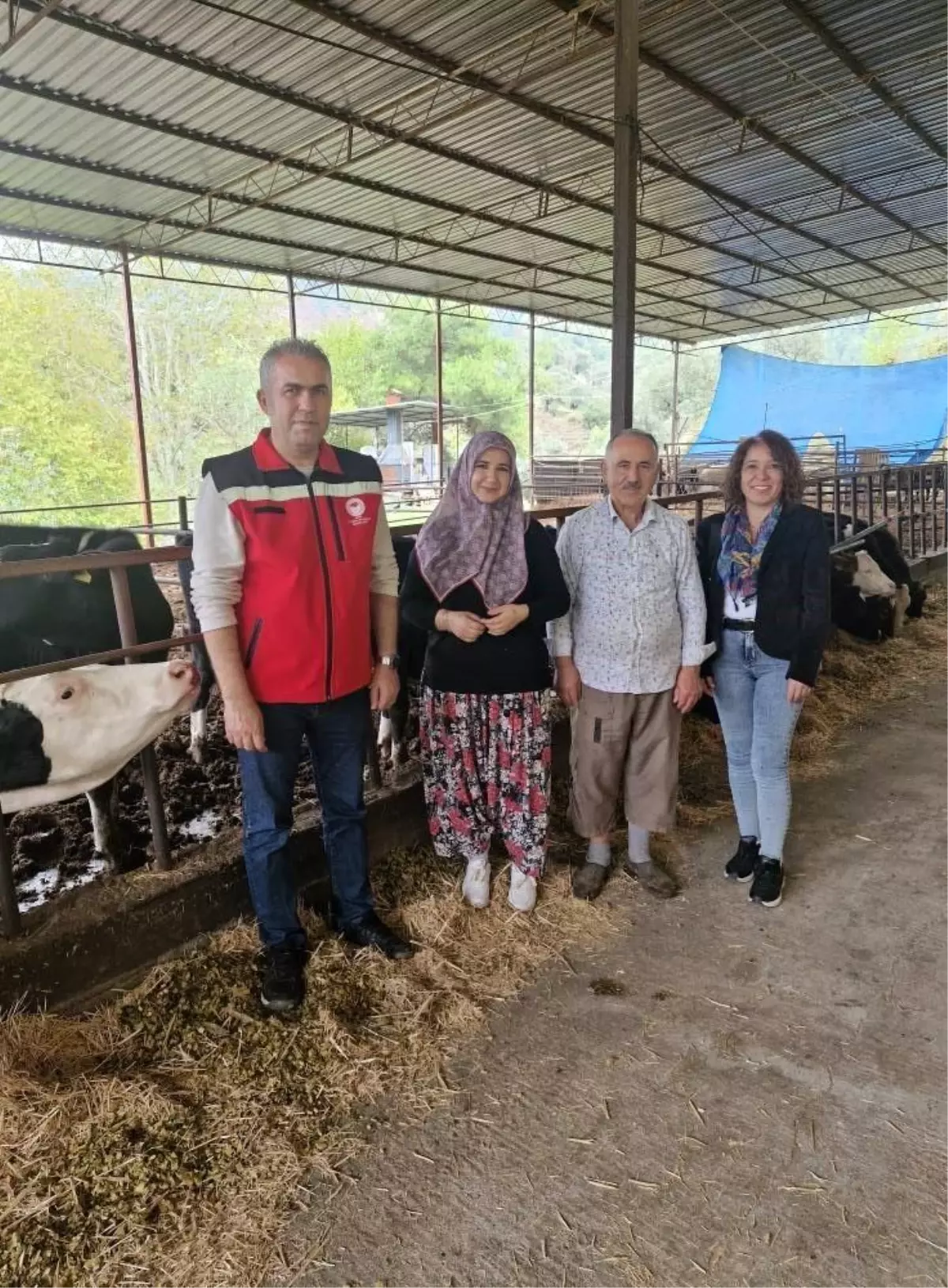 Kadın Çiftçi Tuğba Yıldırım, Süt Sığırcılığı İşletmesini Kurdu
