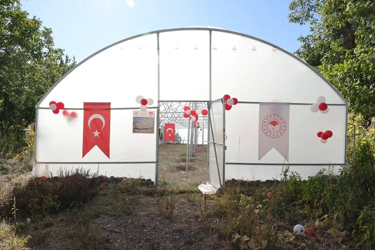 Hakkari’de Kadın Üreticilere 18 Sera Teslim Edildi Hakkari’de Kadın Üreticilere 18 Sera Teslim Edildi