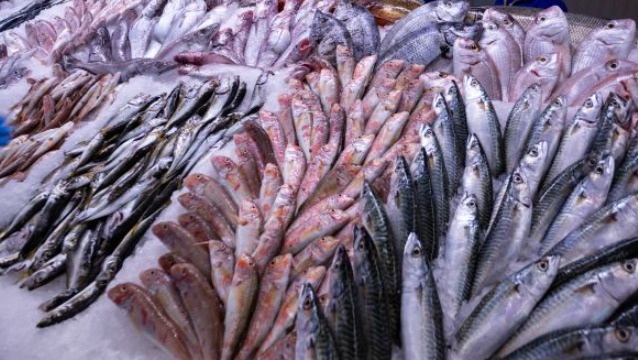 Metro Türkiye ile Yeni Balık Sezonunda Taze Lezzetler