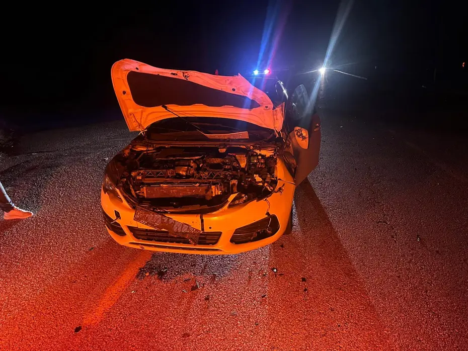 Çorum’da yola çıkan dana kazaya yol açtı: 2 yaralı