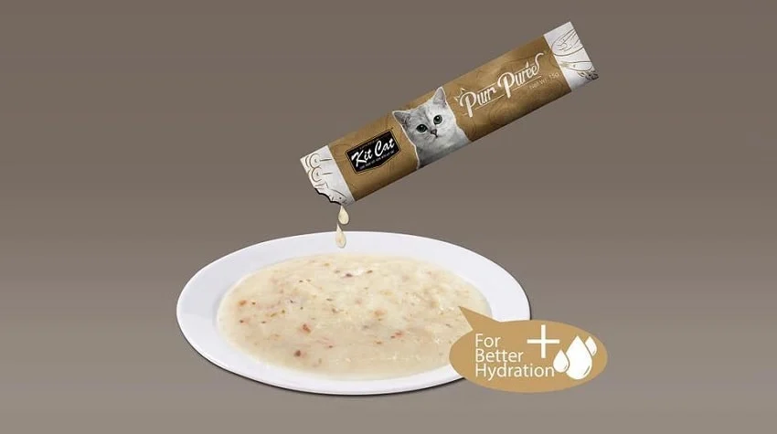 Kedi Çorbası Nedir? Faydaları ve Beslenme İhtiyaçları Kedi Çorbası Nedir? Faydaları ve Beslenme İhtiyaçları