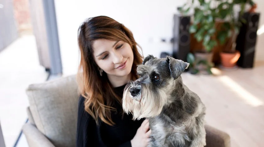 Köpeğinizi Anlamak: Vücut Dili ve Sesleri