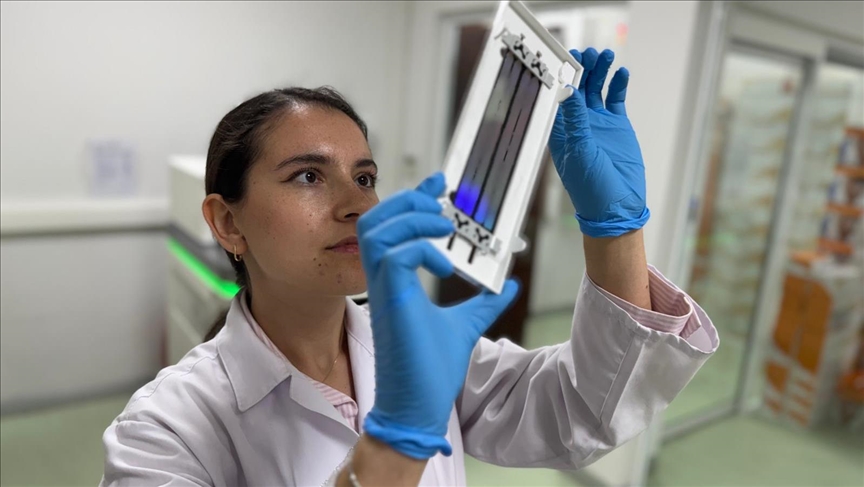 Türk Bilim İnsanları Akciğer Kanserinde 12 Gen Tespit Etti