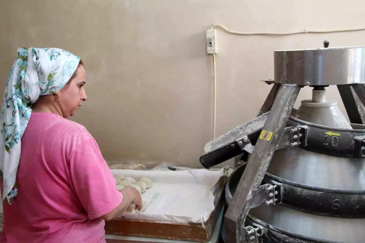 Şırnak’ta Kadınların Ekmek Serüveni Büyüyor Şırnak’ta Kadınların Ekmek Serüveni Büyüyor