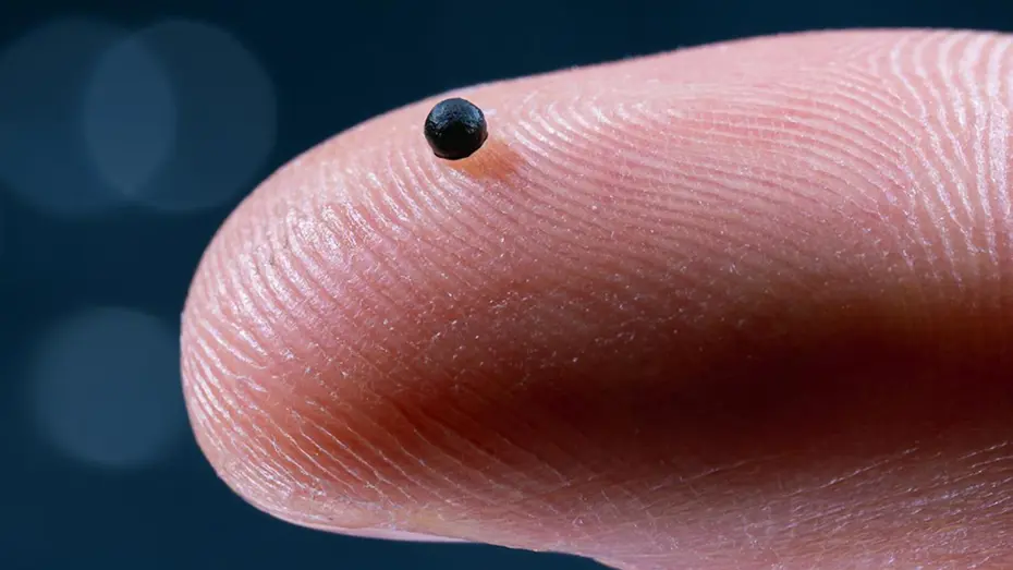 Mikro robot devrimi: Test sonuçları umut verici Mikro robot devrimi: Test sonuçları umut verici